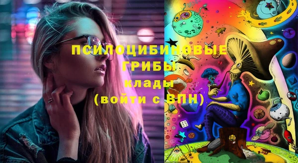кокс Арсеньев