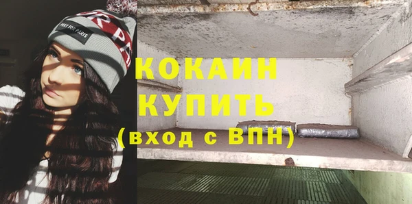 кокс Арсеньев