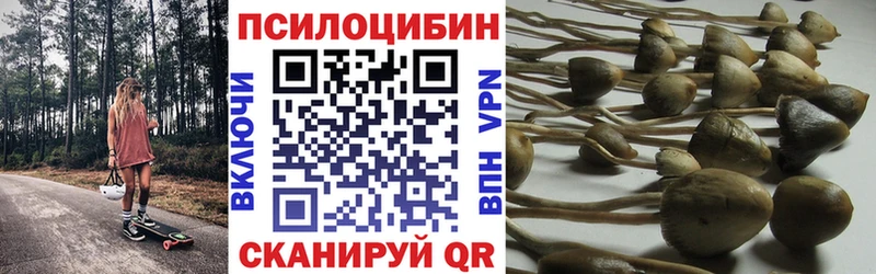 Псилоцибиновые грибы Cubensis  Павловский Посад 